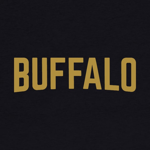 Buffalo City Typography by calebfaires